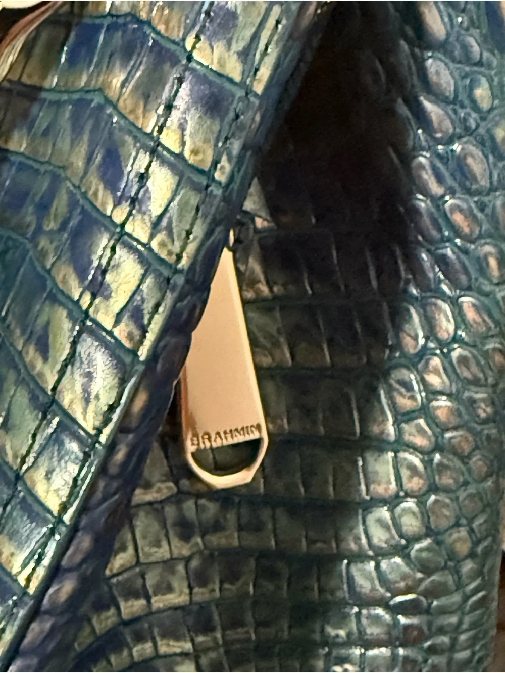 Brahmin this bag